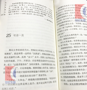 女生贾梅全传 贾里贾梅大系典藏版 秦文君 贾里贾梅日记 儿童文学 课外阅读书 正版图书籍 少年儿童出版社 世纪出版