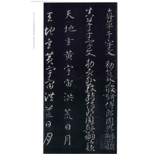 智永真草千字文碑 赵力光 编 书法学习经典教材 书法碑帖 篆刻字帖 正版图书籍 上海古籍 世纪出版