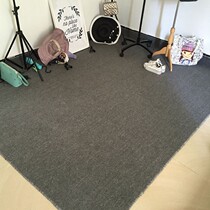 Gray photo carpet bedroom live room dedicated full shop office clothing store commercial ins full floor mat