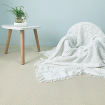 Off-white photo carpet live room photography black background dense room custom large bedroom commercial floor mat