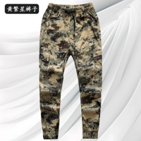 303 штаны с желтой звездой