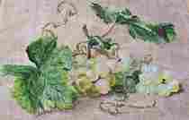 Cross embroidered XSDs redrawing Saga source files 11691 Ukrainian fruit grapes