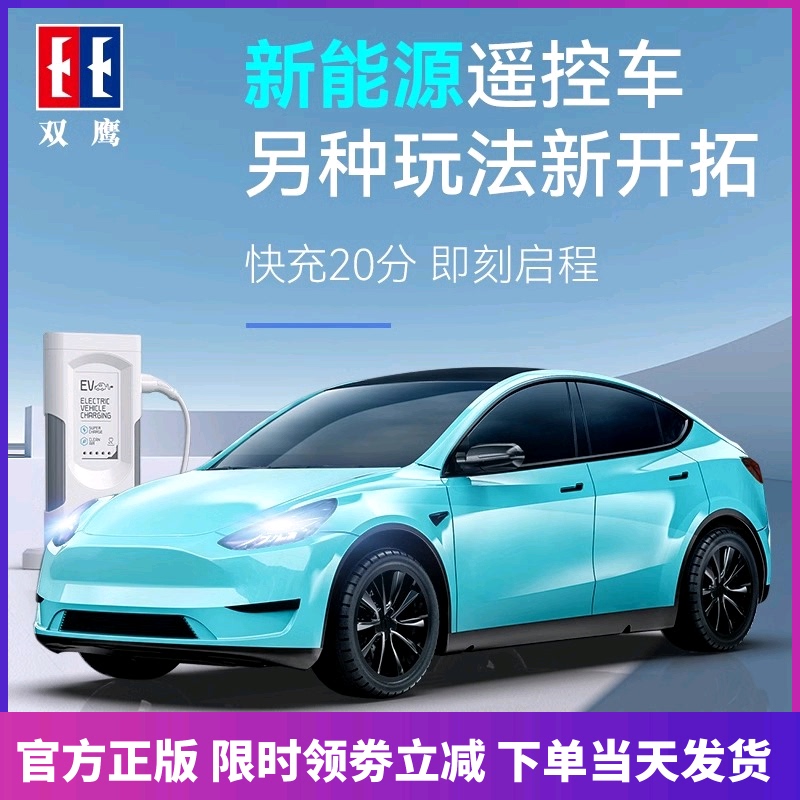Double Eagle Remote Control Car Toy Racing Car for Boys and Children, New Energy Remote Control Sports Car with Charging Station, Gift