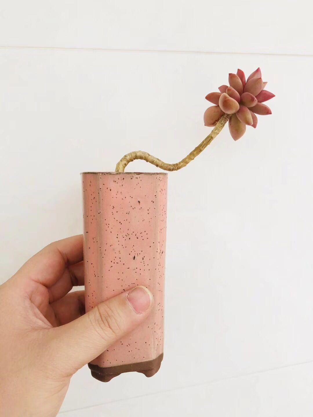 Cute meat nest vintage old pile pot purple sand creative flowerware balcony finishing high quality ceramic flower pot controlled thumb pot