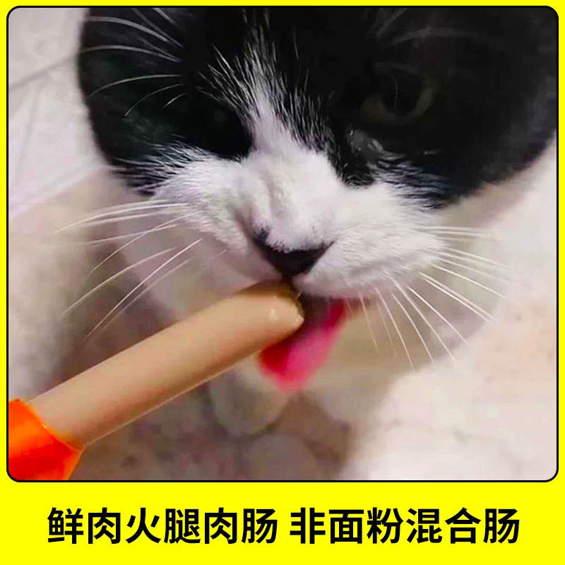 Thú cưng Mèo và Chó Đồ ăn nhẹ Xúc xích Đào tạo Kitty Phần thưởng Kitty FCL Cún con Chó con Ham Xúc xích 20 Spree - Đồ ăn nhẹ cho mèo