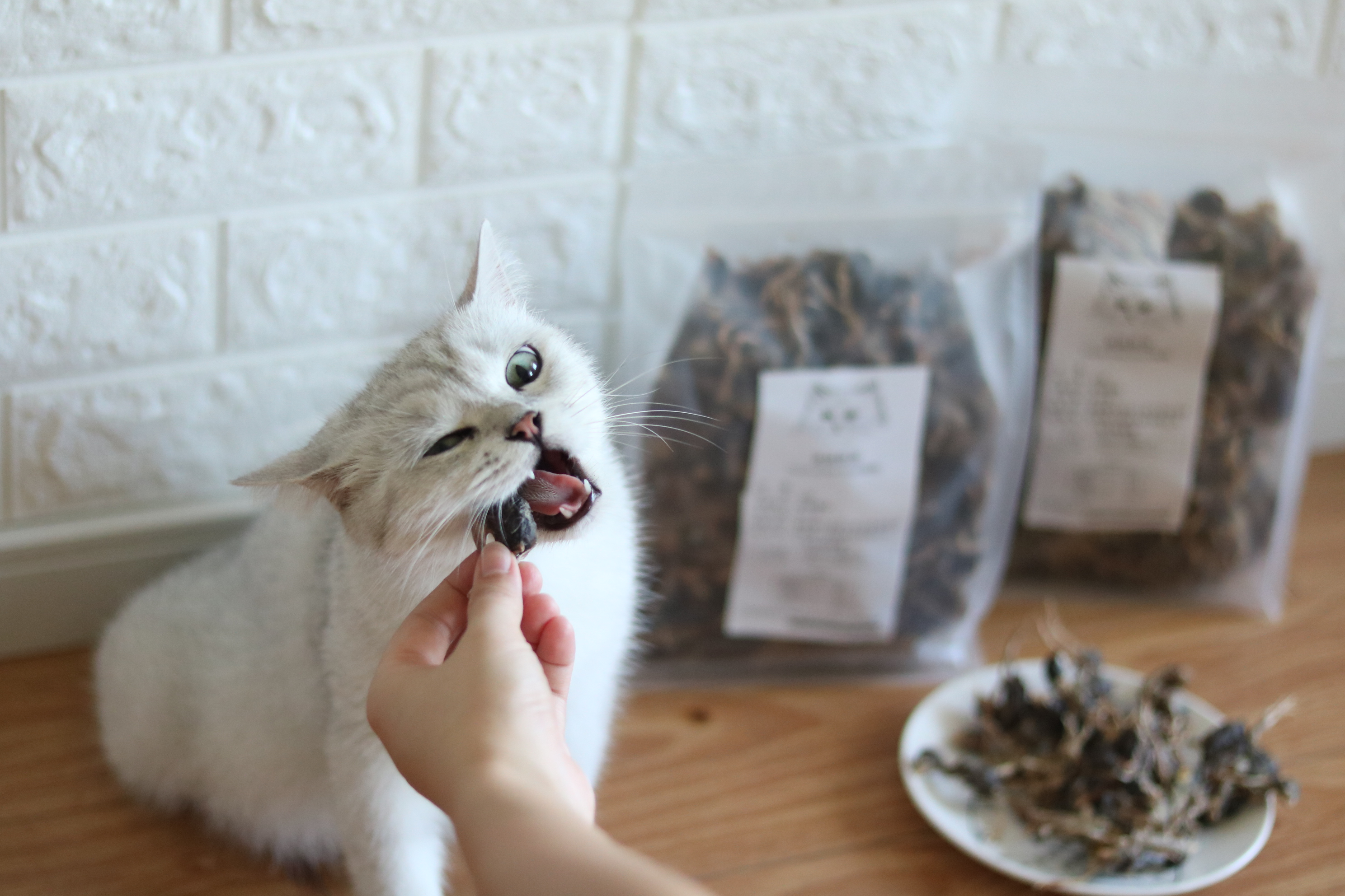 530g mèo, vỗ béo, thịt đông lạnh, mèo, snack, thịt bò, thịt gà, vịt, mèo, chó, bổ sung, dinh dưỡng, thức ăn cho mèo thức ăn mèo catsrang