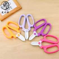 Internet celebrity portable floral scissors flower cutting scissors round head flower shop home flower arrangement gardening shears pruning scissors