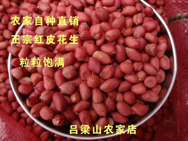 Shanxi red skin peanut kernels New small-grain raw peanut kernels Red coat peanut kernels 500 grams of farm 5 pounds