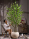 Large Artificial Plant Hanging Bell Flower Tree Potted Plant Indoor Living Room High-End Bionic Green Plant Horse-Dranker Tree Decorative Ornament