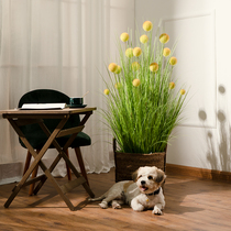 Round Ball Reed Grass Simulation Flower Fake Tree Pot Pot View Living Room floor green plant decoration