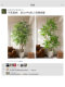 Large Artificial Green Plant Elm Money Tree Fake Tree Indoor Decoration Antique Style Bionic Plant Living Room Floor-Standing Potted Ornament