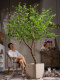 Large Artificial Plant Hanging Bell Flower Tree Potted Plant Indoor Living Room High-End Bionic Green Plant Horse-Dranker Tree Decorative Ornament