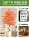 Simulated Green Plant Maple Tree Indoor Living Room Artificial Plant Potted Landscaping High-End Imitation Window Display Floor Decoration Ornament