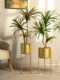 Trendy Artificial Multicolored Dragon Blood Tree Potted Plant for Living Room Plastic Flower Floor-Standing Plant Decoration Ornament