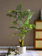 Simulated Tree Fern Plant Golden Monkey Perch High-End Light Luxury Bionic Green Plant Indoor Monkey Head Fern Fake Tree Potted Ornament