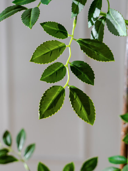 Extra-Large Artificial Elm Tree Potted Plant for Indoor Living Room Decoration, Faux Tree, Biomimetic Green Plant, Floor-Standing Decorative Ornament