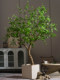 Large Artificial Plant Hanging Bell Flower Tree Potted Plant Indoor Living Room High-End Bionic Green Plant Horse-Dranker Tree Decorative Ornament