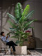 High-End Light Luxury Extra-Large Areca Palm Artificial Plant Fake Tree Potted Indoor High-Grade Simulated Green Plant Landscaping Ornament