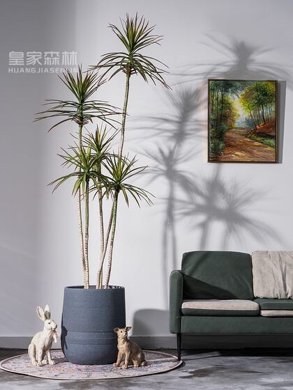 Nordic ins Style Artificial Dragon Blood Tree, Millennium Tree, Fake Tree, Green Plant, Indoor Living Room, Shop Decoration, Potted Plant