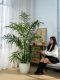 High-End Artificial Green Plant Potted Plant, Sunflower, Indoor Living Room Floor-Standing Home Large Ornament, Simulated Plant Landscaping