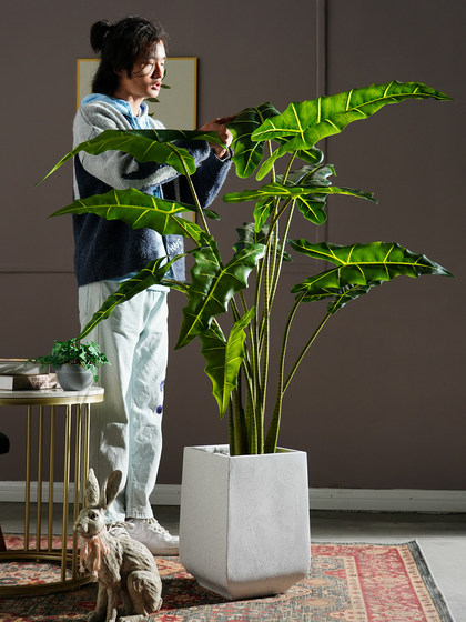 New Artificial Plant Salian Calla Lily Potted Fake Tree Indoor Living Room Bionic Green Plant Landscape Decoration Ornament