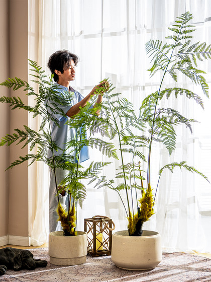 Simulated Tree Fern Plant Golden Monkey Perch High-End Light Luxury Bionic Green Plant Indoor Monkey Head Fern Fake Tree Potted Ornament