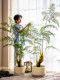 Simulated Tree Fern Plant Golden Monkey Perch High-End Light Luxury Bionic Green Plant Indoor Monkey Head Fern Fake Tree Potted Ornament