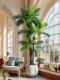 Simulated Coconut Tree Indoor Green Plant Decorative Potted Large Shopping Mall Artificial Tropical Plant Floor-Standing Artificial Tree Palm Sunflower