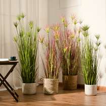 Nordic simulation green plant fake tree sunny sky pot pot pot pot living room floor plastic decoration furnished