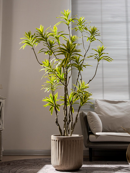 Simulated Green Plant Lily Bamboo High-End Artificial Tree Potted Plant Indoor Living Room Artificial Plant Floor-Standing Decoration Landscape Ornament