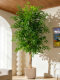 Large Artificial Plant Elm Money Tree Indoor Floor-Standing Potted Plant High-End Fake Olive Tree Landscaping Decoration Ornament Green Plant