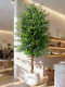 Simulated olive tree large indoor floor-standing potted elm money tree villa landscaping decorative ornaments high-end fake green plants