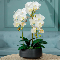 Butterfly Orchid Simulation Flower Set Pot Plant Fittings Fittings TV Cabinet Indoor Living Room Different Flower Decoration