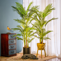 Buffalo simulated plant tree large living room in ancoxuki bamboo pot decoration view