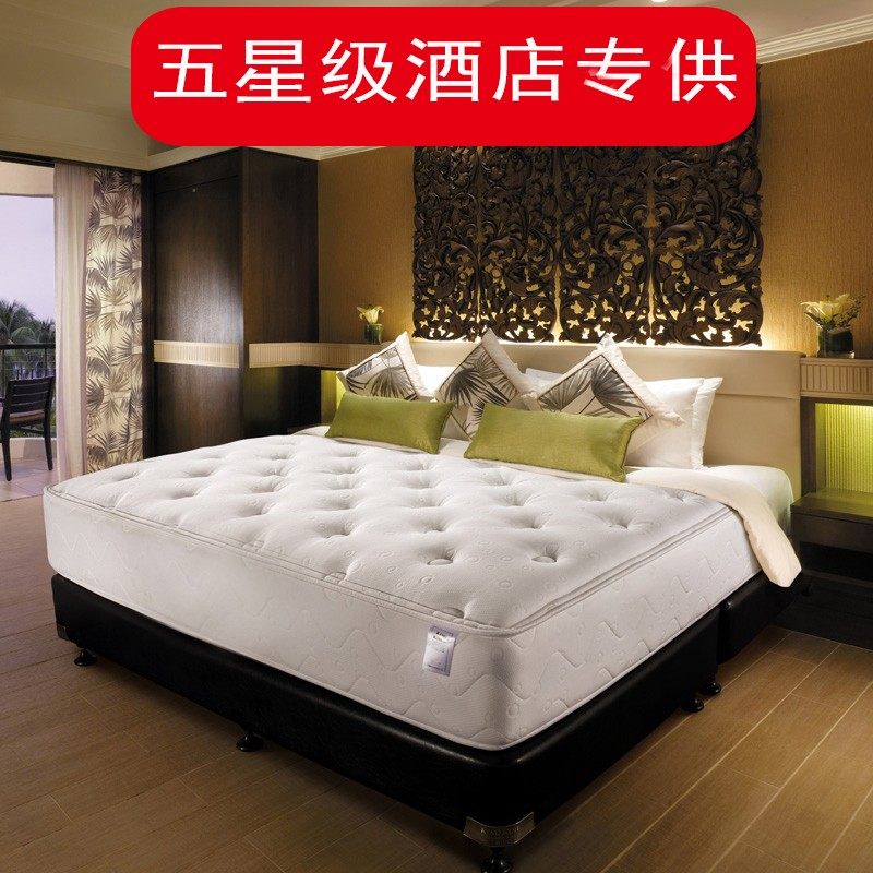 Hong Kong Home Lina Top Ten Famous Mattress Latex Spring Five Star Hotel Super Soft Compression Custom Simmons