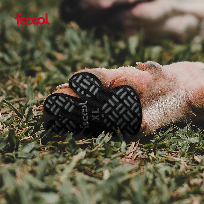 New Hot-Selling Pet Shoes, Dust-Proof and Dirt-Proof Dog Foot Stickers, Universal Anti-Slip Stickers for Golden Retrievers and Huskies