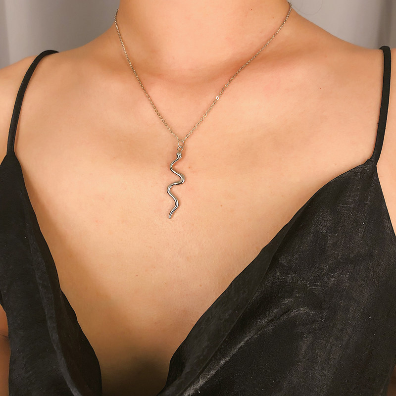 Small Snake Pendant Necklace Necklace of European and American Ins Brief About lukewarm Wind Net Red Temperament Pop Lock Bone Chain Neck Ornament Tide