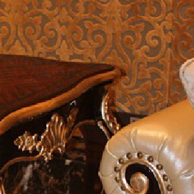 ����Ҽ�ŷ��Ǽ��߼�DJ-2002