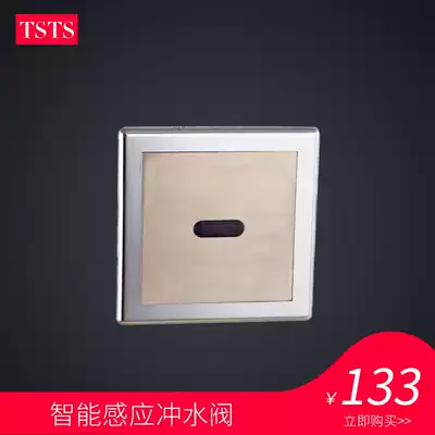 tsts Induction flusher Urinal sensor urinal automatic flushing valve All copper solenoid valve