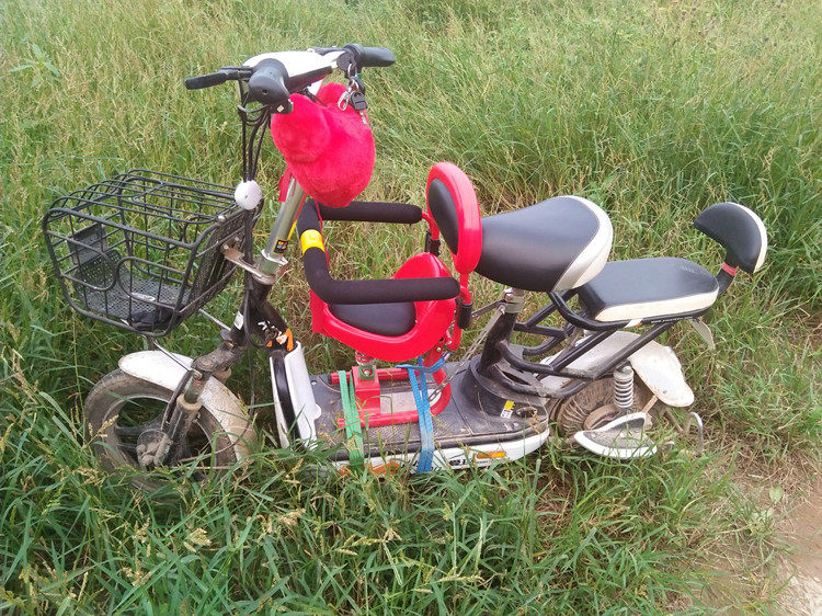 siège enfants pour vélo - Ref 2414711 Image 12