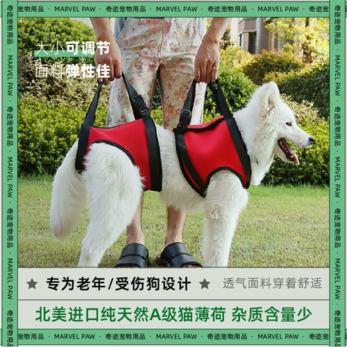 Вспомогательный домашний живот с пожилыми инвалидами -инвалидами вспомогательная полоса передней и задней ноги Золотой ретривер привел ремень сустава, чтобы вытащить тягу