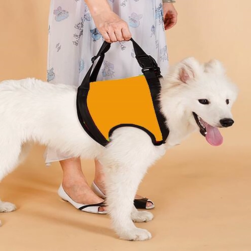 Вспомогательный домашний живот с пожилыми инвалидами -инвалидами вспомогательная полоса передней и задней ноги Золотой ретривер привел ремень сустава, чтобы вытащить тягу