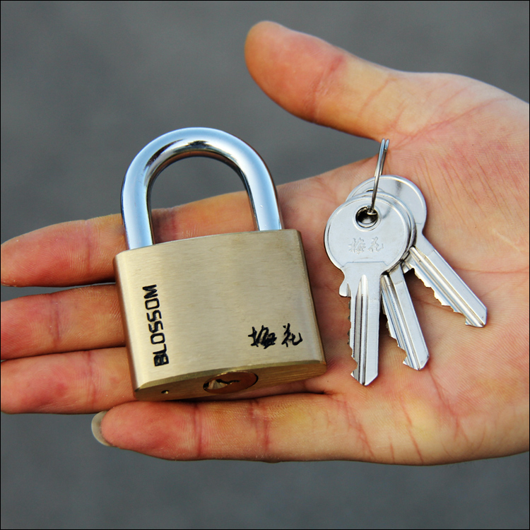 50mm plum blossom straight open padlock pure copper large number door lock waterproof and rust-proof reinforced copper lock warehouse door lock head