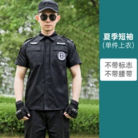 Лето с коротким рукавом [одиночный топ] (без знака)