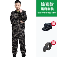 Комплект, шапка, ремень, черный орел