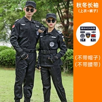 Демисезонный лонгслив, штаны