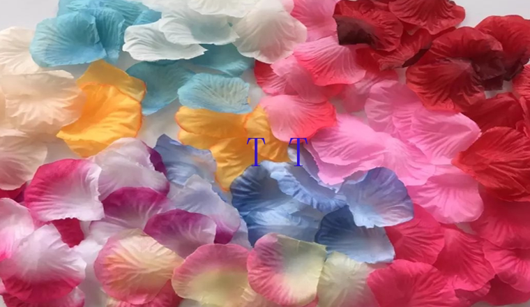 Bougie - Ref 2485928 Image 7