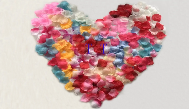 Bougie - Ref 2485928 Image 8