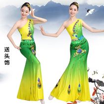 Dai Nationality Dance Costumes Caiyunzhinan Peacock Dance Performance Costumes Practice Large Size Adult Female Performance Costumes Practice Dance Skirt