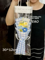 X-голубая клетчатая пучка + подарочная сумка свет